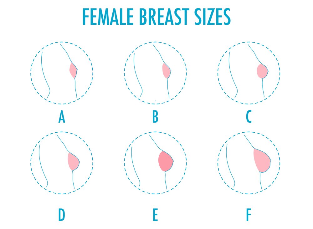Breast Augmentation Sizes Chart